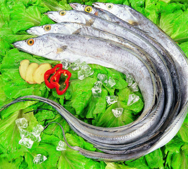 帶魚(yú)的選購(gòu)及食用